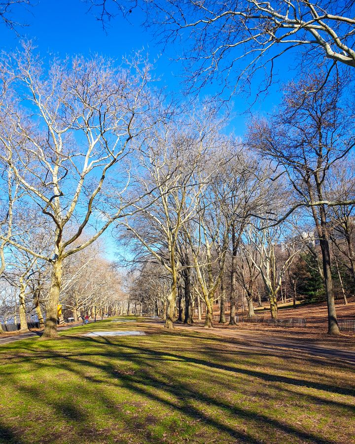 Riverside Park New York City USA Non-Touristy Activities for Return Visitors to New York City In Riverside Park, New York City USA. There's a big space with short green grass that goes away from the camera with paths on either side. There's also bare trees all around the park and the sky is blue above it "Non-Touristy Activities for Return Visitors to New York City"