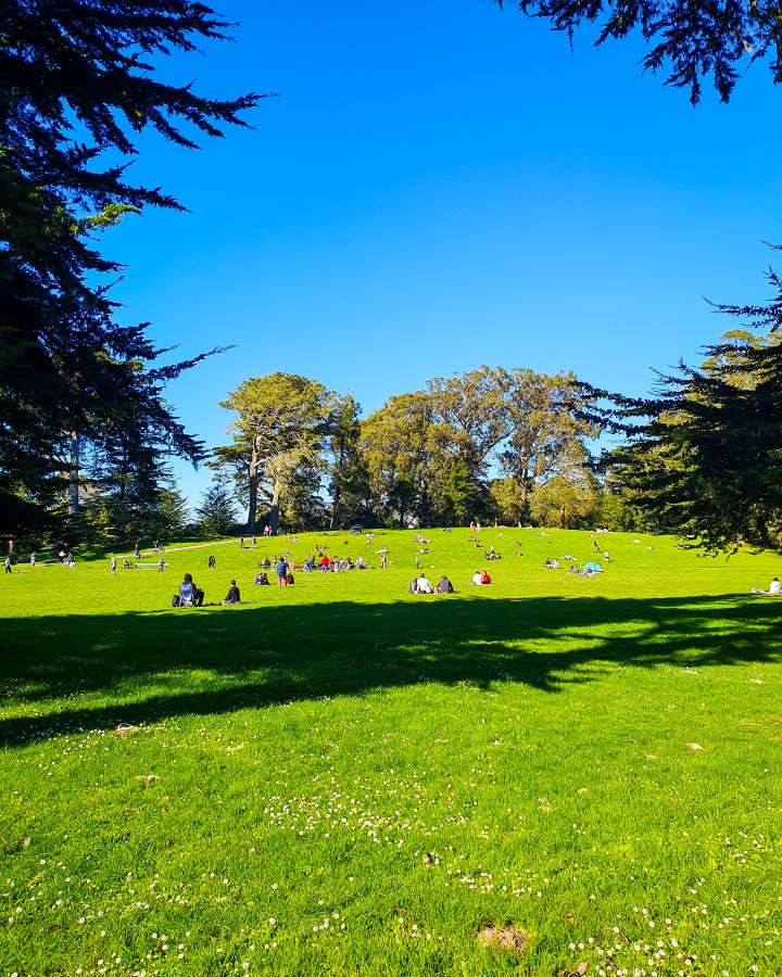 Golden Gate Park San Francisco USA How to See San Francisco on a Budget A big field with short green grass and lots of people sitting on it in Golden Gate Park, San Francisco, USA. Around the field are some big trees and the sky is clear and blue "How to See San Francisco on a Budget"