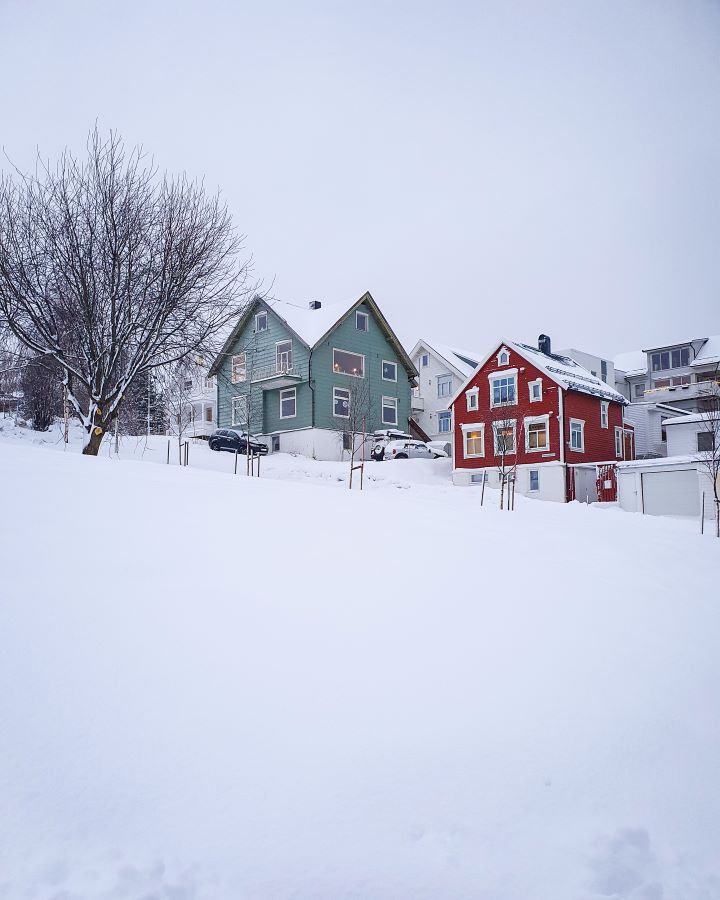 Best Things To Do in the City of Tromsø, Norway A view over a snowy hill in Tromsø, Norway of a red wooden house with white windows and a white roof. Next to it is a blue wooden house with white windows and a white roof and around it are cars and a big bare tree. "Best Things To Do in the City of Tromsø, Norway"