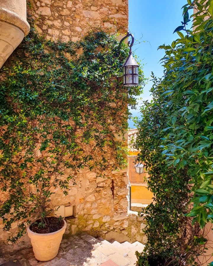 In Èze in France with a stone wall on the left with vines going up it that are coming from a pot on the ground. There's also a lamp coming off the wall with a little opening where you can just see some blue water poking through. On the right is another vine coloured wall and you can see some blue sky too. How to Navigate Public Transport in and Around Nice, France