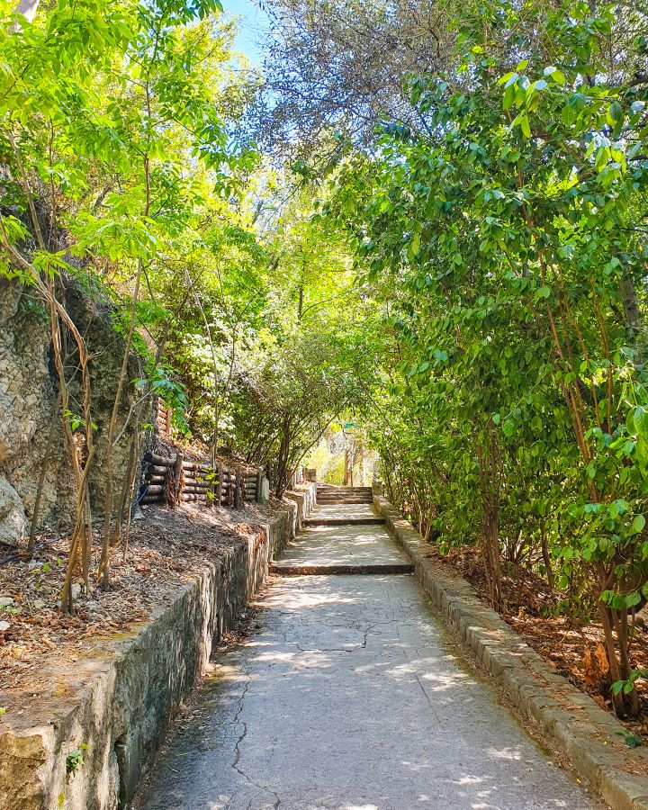 An uphill path on Castle Hill in Nice, France. There's trees on both side that go over the path and some steps leading up it. How to Have the Best Three Days in Nice, France
