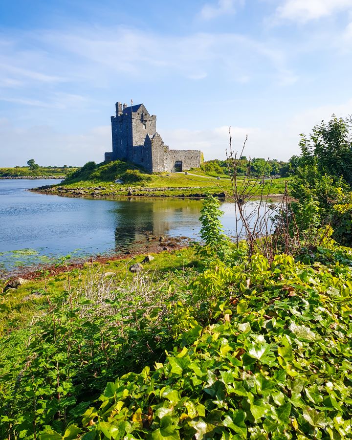 Ireland Cliffs of Moher From Galway: Get Your Guide Review Looking at the Dunguaire Castle in Ireland. In the foreground is green plants and grass with water behind it. Behind the water is another patch of land with a small stone castle on it and the sky is blue and cloudy. Cliffs of Moher From Galway: Get Your Guide Review