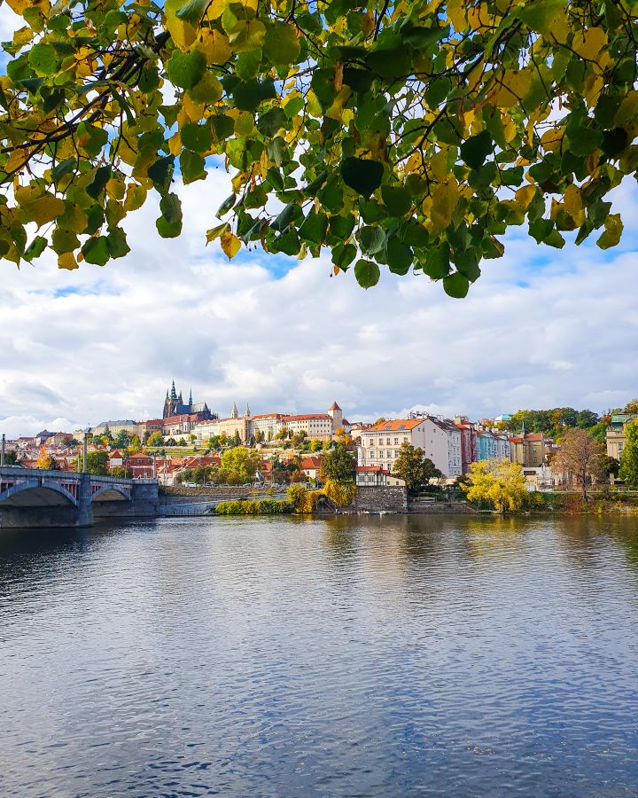 Prague Castle Czechia A Complete Guide to Prague Public Transport A view of Prague Castle in Prague, Czechia. The water of the river is in the foreground with green and yellow leaves above it. In the distance is a view of the other side of the river with white buildings with orange roofs, trees, and Prague castle on a hill above it all. A Complete Guide to Prague Public Transport