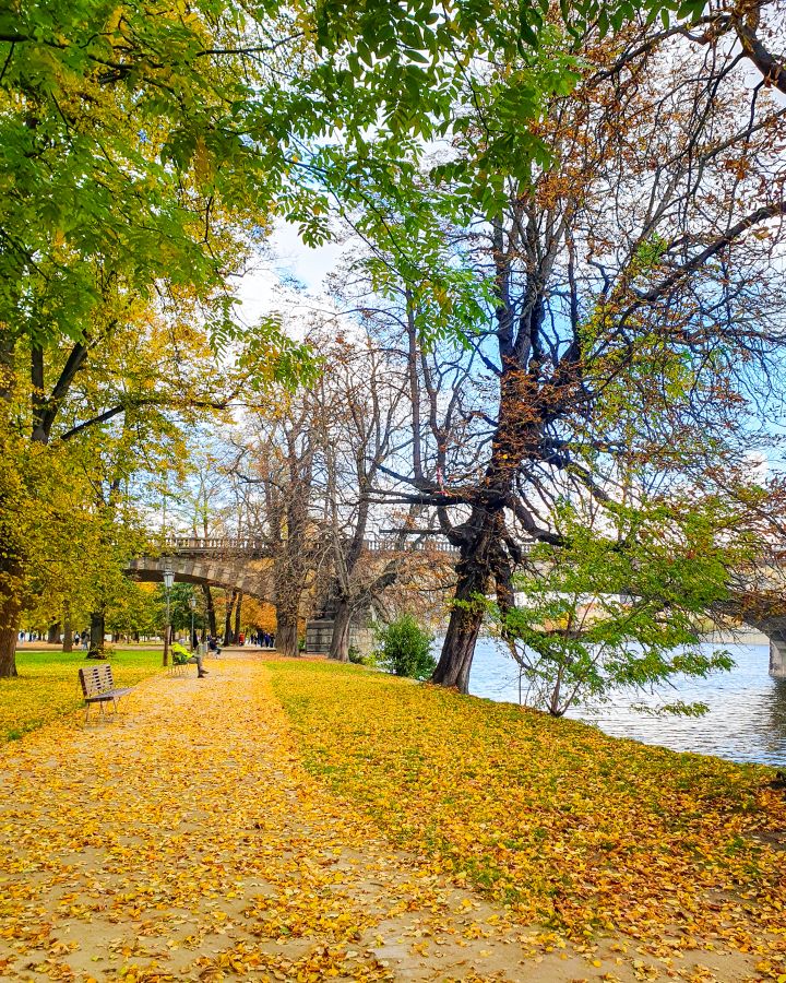 A pathway on Shooter's island in Prague, Czechia. The path is covered in yellow leaves and there's green grass and trees around. In the background you can see a bridge going over the island too. How To Visit Prague On a Budget: Best Three Day Itinerary