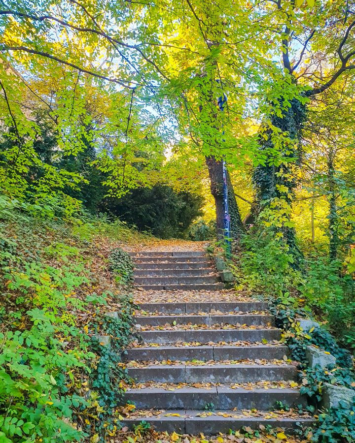 A staircase up Petřín Hill in Prague, Czechia. Around the stairs are green and yellow trees and there's leaves all over the ground. How To Visit Prague On a Budget: Best Three Day Itinerary