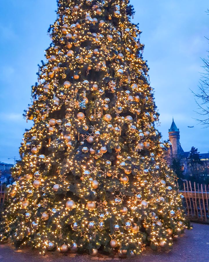 A huge Christmas tree with gold baubles, stars and lights on it at a market in Luxembourg City. Behind it is a castle turret and its getting dark outside. Make the Most of Christmas in Luxembourg City