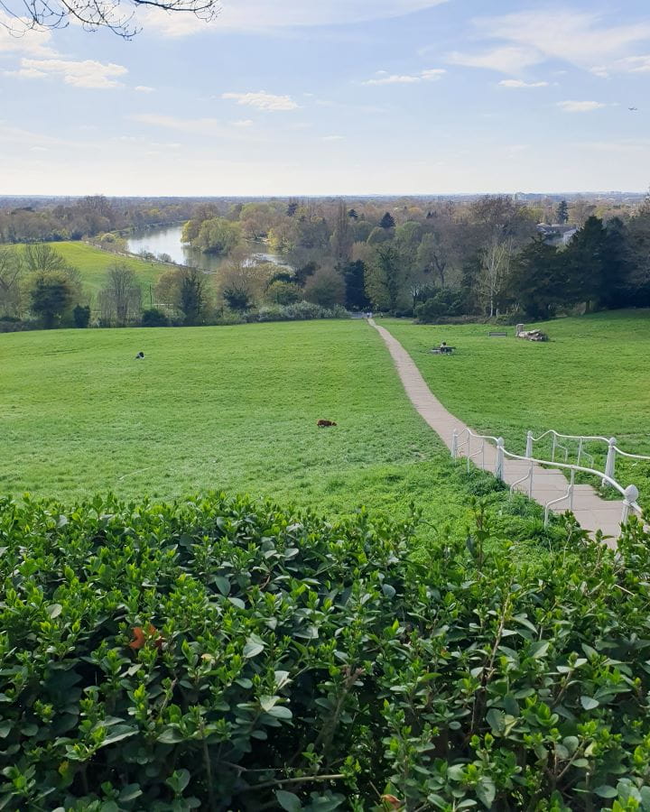 Richmond Hill London Less Touristy Places in London for Return Visitors Less Touristy Places in London for Return Visitors. In the foreground is green bushes, with a green grassy hill behind it going down to the river Thames on Richmond Hill, London. There's a path going up the hill and lots of trees down the bottom.