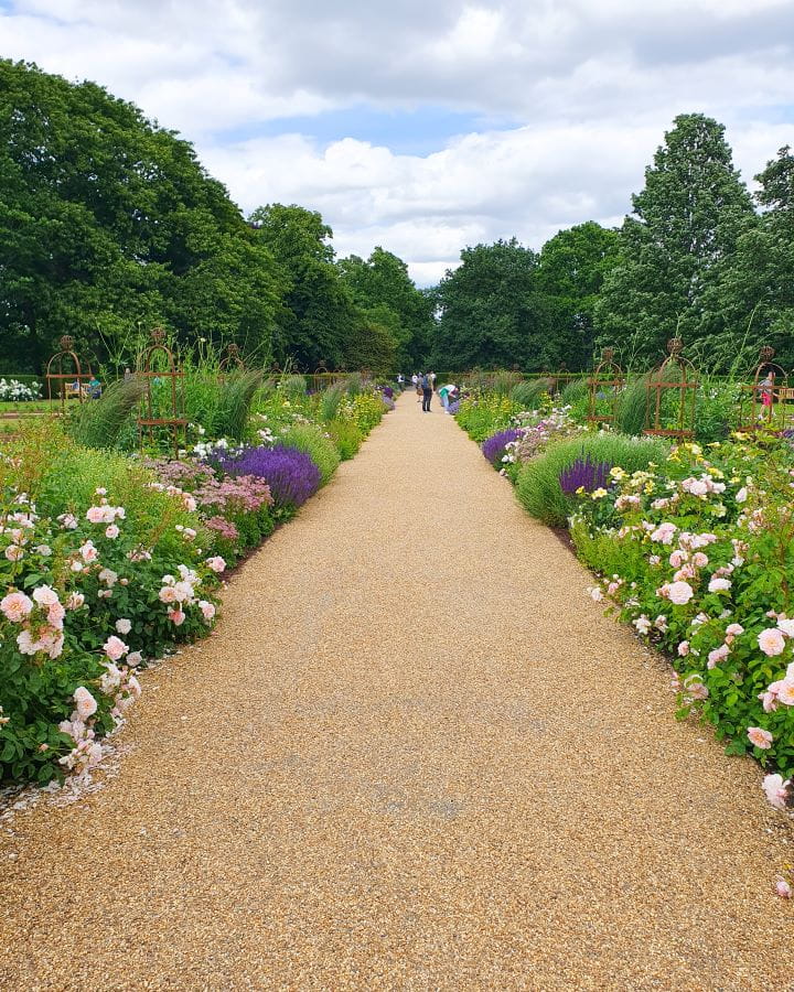 Greenwich Park London Less Touristy Places in London for Return Visitors A pebble path going down the middle of the photo with green bushes with pink, white and purple flowers on them on either side. There's big green trees behind the path and people walking down it in Greenwich Park in London. Less Touristy Places in London for Return Visitors