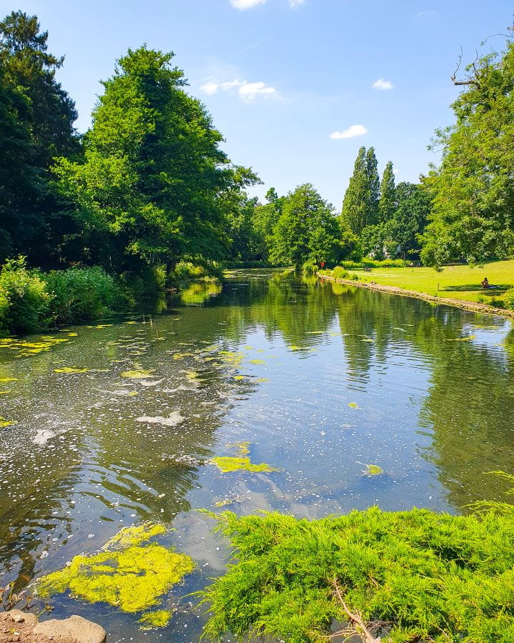 Chiswick House and Gardens London Less Touristy Places in London for Return Visitors A big pond in Chiswick Garden, London. There's green bushes and a big grassy patch on the right where people are sitting beside the water. There's also lots of big green trees and a blue sky above it all. Less Touristy Places in London for Return Visitors