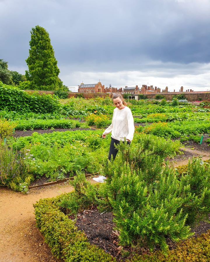 Hampton Court Palace London Less Touristy Places in London for Return Visitors Krissie in a white jumper walking through a garden in Hampton Court Palace in London. There's little paths going around lots of small garden beds with green plants in them. Behind is a big green tree and the red palace in the background. Less Touristy Places in London for Return Visitors