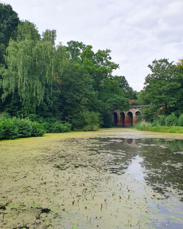 Hampstead Heath Viaduct London Less Touristy Places in London for Return Visitors A small lake with lots of algae on it and big green trees around it. There's a small stone bridge with archways hiding in the trees and the sky is cloudy overhead. Less Touristy Places in London for Return Visitors