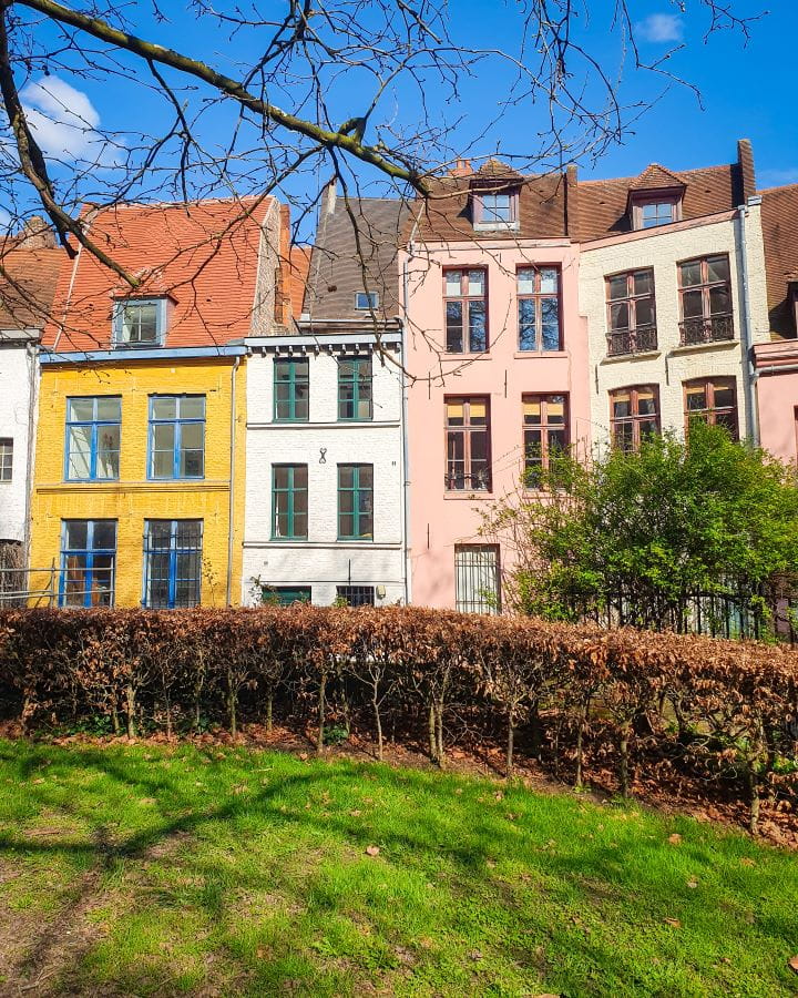 Some coloured buildings in Lille, France. The building on the left is yellow, then there's three white ones and two pink ones. In front of the buildings is a brown hedge and in front short green grass. Above it all is a blue sky and some tree branches. How To Enjoy Lille in a Day