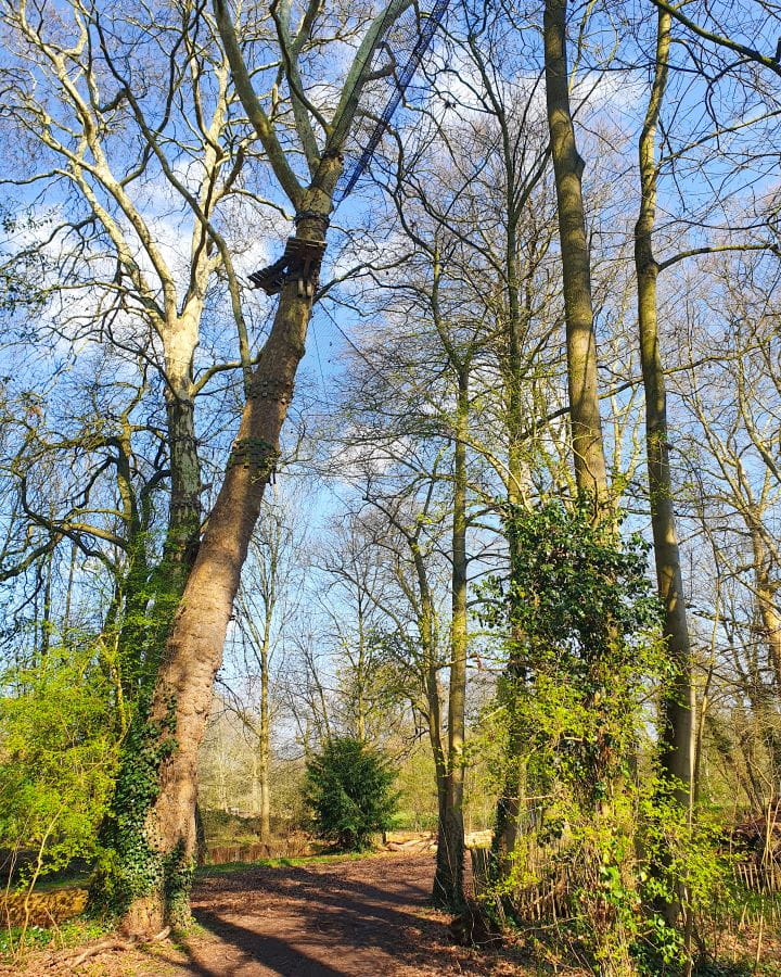 A dirt path going under some bare trees and green bushes near the Citadelle in Lille, France. If you look closely in the trees you can see ropes and platforms from the treetop adventure. There's no people around and the sky behind is bright blue. How To Enjoy Lille in a Day