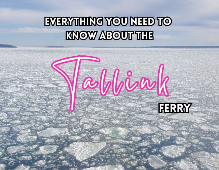 Everything You Need to Know About the Tallink Ferry