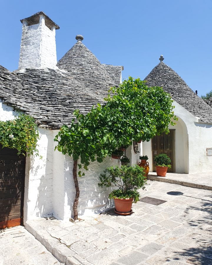 Alberobello Italy Three Unique Day Trips From Bari Without a Car Some of the trulli in Alberobello, Italy. The little white houses have cone rooves made of grey stone and one of them has a white chimney. Out the front is a little tree and potted plants. Three Unique Day Trips From Bari Without a Car