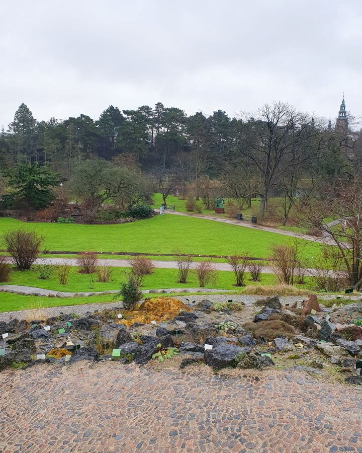 Botanical Garden Denmark How to Enjoy Your Time in Copenhagen For Free Looking out into the botanical gardens in Copenhagen, Denmark. In the foreground is a stone pathway, with more pathways snaking down the hill with rocks and plants in between. There's short green grass and lots of trees in the background and there's no other people around. How to Enjoy Your Time in Copenhagen For Free