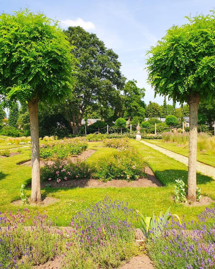 United Kingdom Chiswick house and gardens Nine Less Touristy But Wonderful Parks to Visit in London Two trees framing the photo, with purple flowers in the front and manicured green grass behind it in rows. There's more low bushes with bigger trees in the background in Chiswick house and gardens in London. Nine Less Touristy But Wonderful Parks to Visit in London