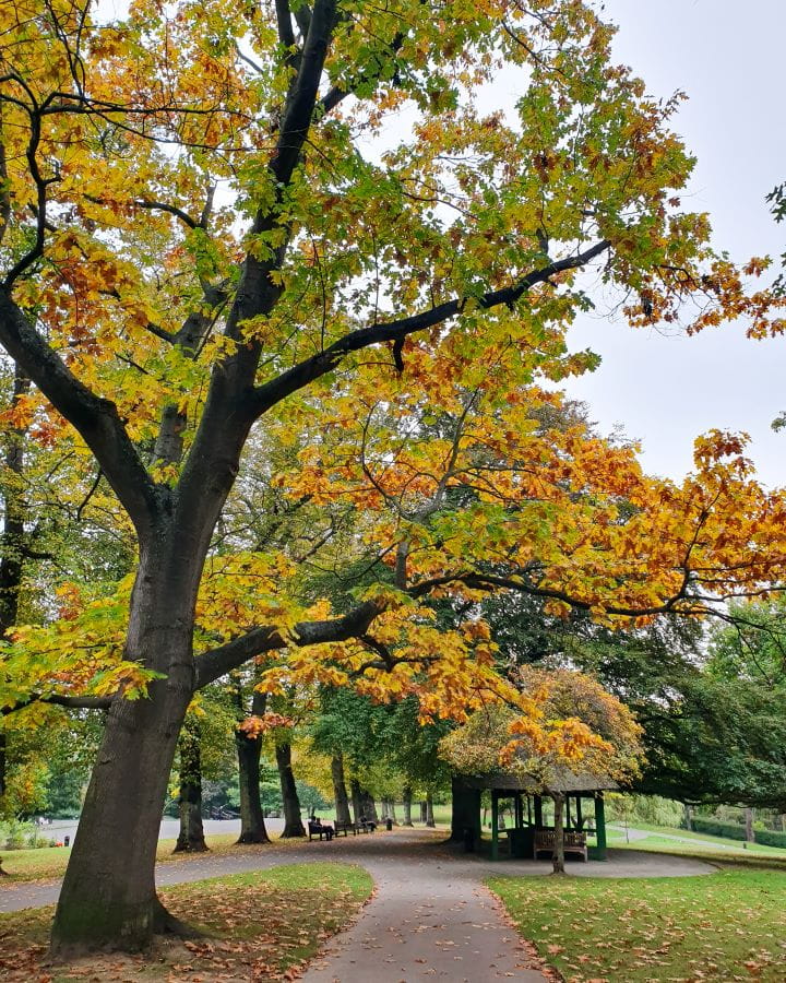 United Kingdom Waterlow Park Nine Less Touristy But Wonderful Parks to Visit in London A path leading away from the camera to a wooden gazebo down the hill a bit in Waterlow park, London. There's big trees over the path with orange and yellow leaves. Nine Less Touristy But Wonderful Parks to Visit in London